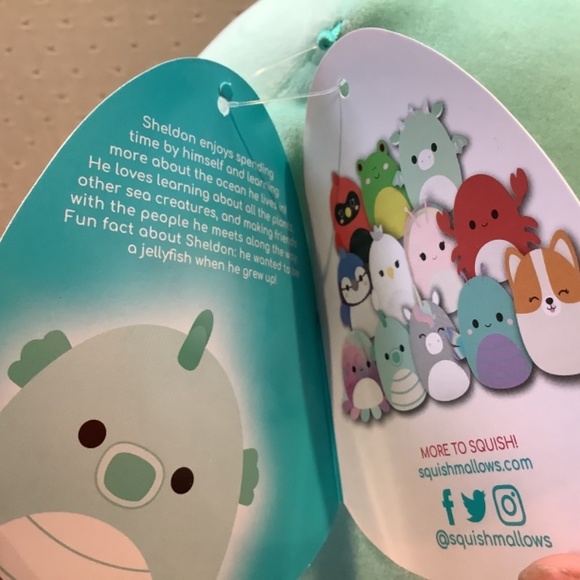 Sheldon Squishymallow bundle - Picture 6 of 6